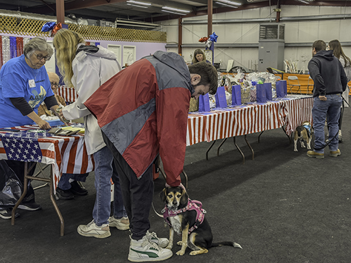 22nd Annual Beagle Bash