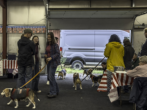 22nd Annual Beagle Bash