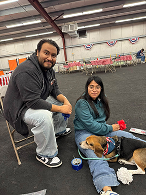 22nd Annual Beagle Bash
