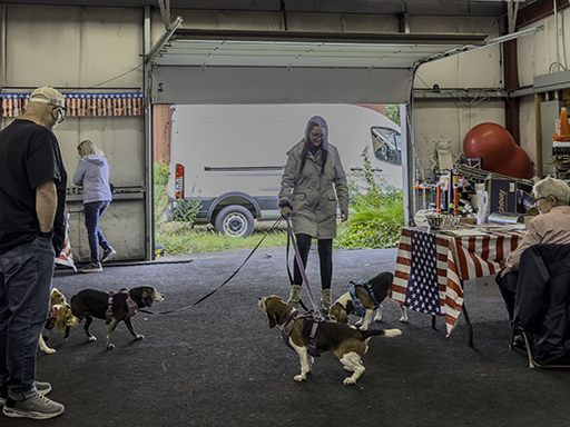 22nd Annual Beagle Bash