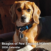 2027 Beagle Calendar Contest - Time to Vote! 2027 Beagle Calendar Contest - Time to Vote!